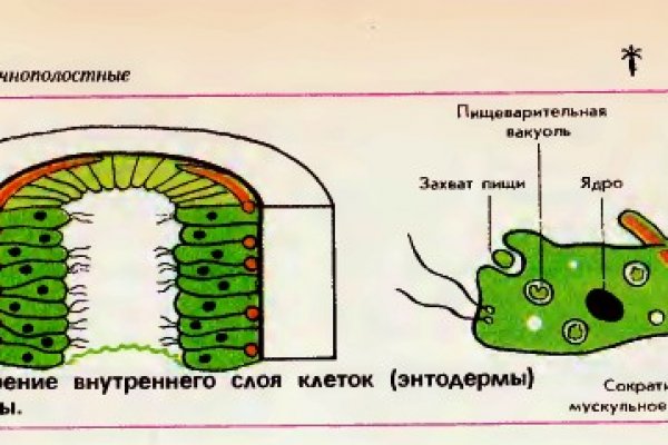 Как зарегистрироваться на кракене маркетплейс